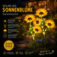 🌻 50% DE RÉDUCTION ! ☀️ Lampes Solaires Tournesol Étanches – Pétales Réalistes, IP65 & Allumage Automatique🌿✨🏡