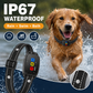 🏆 50 % DE RÉDUCTION EN CE MOMENT ! 🐶 Collier anti‑aboiement intelligent pour chiens 🛡️ Réglable, sans douleur, contrôle efficace des aboiements ⚡