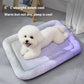 🐾 50% DE RÉDUCTION ! ❄️Coussin rafraîchissant 3D pour chiens et chats – Nid doux en perles de gel, matelas à air pour été, tissu respirant, fraîcheur naturelle sans excès💤