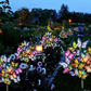 🔥 Last Day Sale Price |  🦋Solar Outdoor Butterfly Lights💐