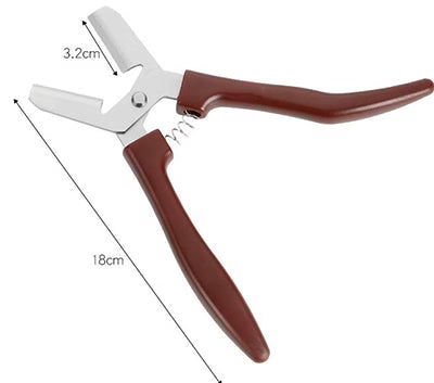🌰 50% DE RÉDUCTION ! ✨Ciseaux « Chestnut Cut »