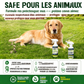 🏆 Dernier Jour Prix Spécial 16.99€ ! 🌿Deux achetés un offert🏡Désherbant Usage Domestique – Désherbage Facile & Sans Stress, Élimine les Mauvaises Herbes Rapidement