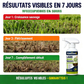 🏆 Dernier Jour Prix Spécial 16.99€ ! 🌿Deux achetés un offert🏡Désherbant Usage Domestique – Désherbage Facile & Sans Stress, Élimine les Mauvaises Herbes Rapidement