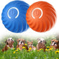 🎁 50% DE RÉDUCTION ! 🐶 Balle automatique intelligente pour chien – Incassable, se déplace toute seule🦴✨