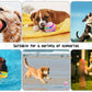 🎁 50% DE RÉDUCTION ! 🐶 Balle automatique intelligente pour chien – Incassable, se déplace toute seule🦴✨