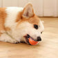 🎁 50% DE RÉDUCTION ! 🐶 Balle automatique intelligente pour chien – Incassable, se déplace toute seule🦴✨