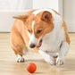 🎁 50% DE RÉDUCTION ! 🐶 Balle automatique intelligente pour chien – Incassable, se déplace toute seule🦴✨