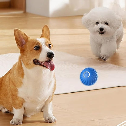 🎁 50% DE RÉDUCTION ! 🐶 Balle automatique intelligente pour chien – Incassable, se déplace toute seule🦴✨