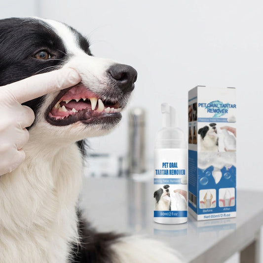 🐾 Mousse Détartrante pour Chiens et Chats – Hygiène Bucco-Dentaire Sans Brosse !