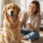 🐾 Mousse Détartrante pour Chiens et Chats – Hygiène Bucco-Dentaire Sans Brosse !
