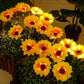 🌻 50% DE RÉDUCTION ! ☀️ Lampes Solaires Tournesol Étanches – Pétales Réalistes, IP65 & Allumage Automatique🌿✨🏡