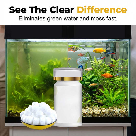💐 -50% ! Traitement Anti-Algues Aquarium – Eau Claire en 24h, Sans Danger pour Poissons !