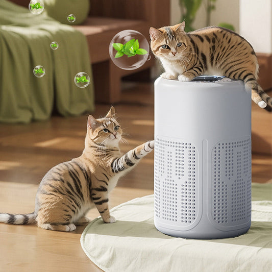 🌬️ PROMO FLASH 50% ! 🏠Purificateur d'Air Maison – Filtration Multicouche, 30-50m², Ultra-Silencieux, Écoénergétique, Idéal Chambre & Salon ✨