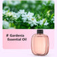 🌬️ 50 % DE RÉDUCTION EN CE MOMENT ! 🌸Diffuseur d'Aromathérapie Automatique – Silencieux, Diffusion Régulière & Ambiance Parfumée🏡