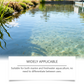 Clarifiant pour l’eau – Formule professionnelle