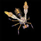 🐝 50 % DE RÉDUCTION EN CE MOMENT ! ⚙️ Kit de maquette 3D abeille mécanique en métal – Puzzle DIY steampunk, une déco rétro-futuriste fascinante 🛠️✨