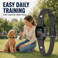 🏆 50 % DE RÉDUCTION EN CE MOMENT ! 🐶 Collier anti‑aboiement intelligent pour chiens 🛡️ Réglable, sans douleur, contrôle efficace des aboiements ⚡