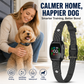 🏆 50 % DE RÉDUCTION EN CE MOMENT ! 🐶 Collier anti‑aboiement intelligent pour chiens 🛡️ Réglable, sans douleur, contrôle efficace des aboiements ⚡