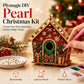 🎨 50% DE RÉDUCTION ! 🎄Kit de peinture de Noël « Pearl Art » en 3D à réaliser soi-même.✨
