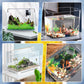 🐠 50 % DE RÉDUCTION EN CE MOMENT !💧Mini filtre multifonctionnel pour petits aquariums