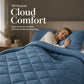 📢50 % DE RÉDUCTION !! ⏰ Ensemble de couette matelassée 3 pièces avec taies d'oreiller – Microfibre toutes saisons