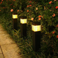 🌿 50 % DE RÉDUCTION EN CE MOMENT ! 🎁 Le Cadeau Parfait pour Tout Jardin — Pratique & Décoratif