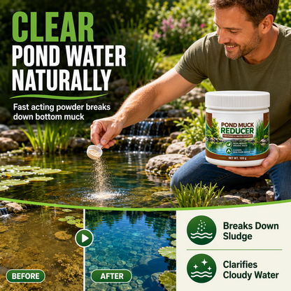 🏆 Offre spéciale du dernier jour :14.99€ ! 🔥 2 achetés 1 offerts 🎁Poudre clarifiante pour bassins à poissons et piscine